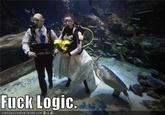 Fuck Logic