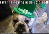 The Crichton Leprechaun