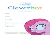 Cleverbot