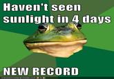Foul Bachelor Frog