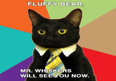 Business Cat