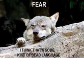 Ignorant to Adversity wolf