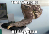 Yes, This is Dog