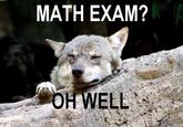 Ignorant to Adversity wolf