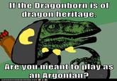 The Elder Scrolls