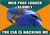 Paranoid Parrot