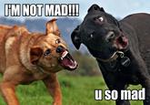 U MAD?