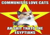 Lenin Cat