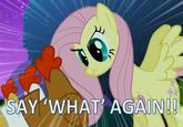 English, Do You Speak It? / Does He Look Like A Bitch? / Say "what" Again.
