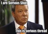 Serious Cat