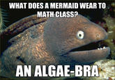 Bad Joke Eel