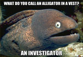 Bad Joke Eel