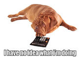 I Have No Idea What I'm Doing