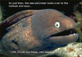 Bad Joke Eel
