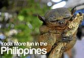 It's More Fun in the Philippines