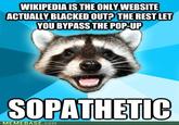 Day Without Wikipedia