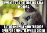 First World Problems Cat