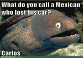 Bad Joke Eel