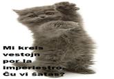 LOLcats