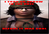 I Took an Arrow in the Knee
