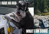 I Have No Idea What I'm Doing