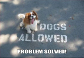 Problem Solved!