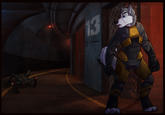 Furries