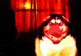 Nigel Remix / X feat. Nigel Thornberry