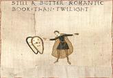 Medieval Macros - Bayeux Tapestry
