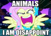 Son, I am disappoint