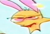 Reaction Faces
