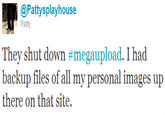Operation Megaupload