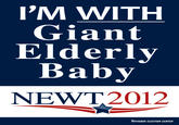 Newt Gingrich