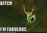 Bitch I'm Fabulous