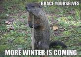 Imminent Ned / Brace Yourselves, X is Coming