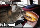 Forced Meme