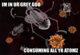 The Singularity