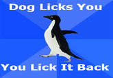 Socially Awkward Penguin