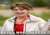 Penis Goes Where/Cock goes where