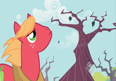 Big Macintosh