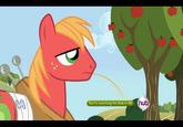 Big Macintosh