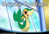 Smugleaf / Snivy