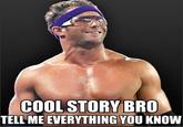 Cool Story, Bro