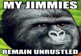 That Really Rustled My Jimmies