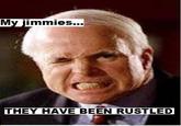That Really Rustled My Jimmies