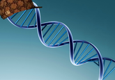 Scumbag DNA