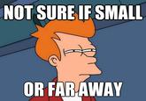 Futurama Fry / Not Sure If X