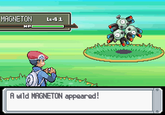 A Wild X Appears! / Wild X Appeared!