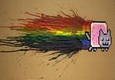Nyan Cat / Pop Tart Cat