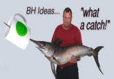 BH Ideas